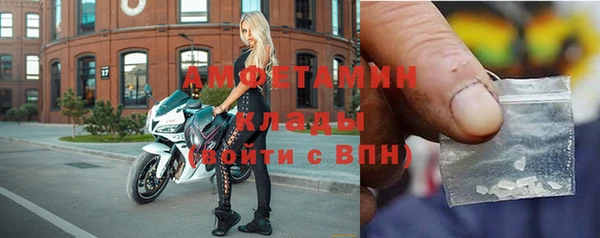 амф Сосновый Бор
